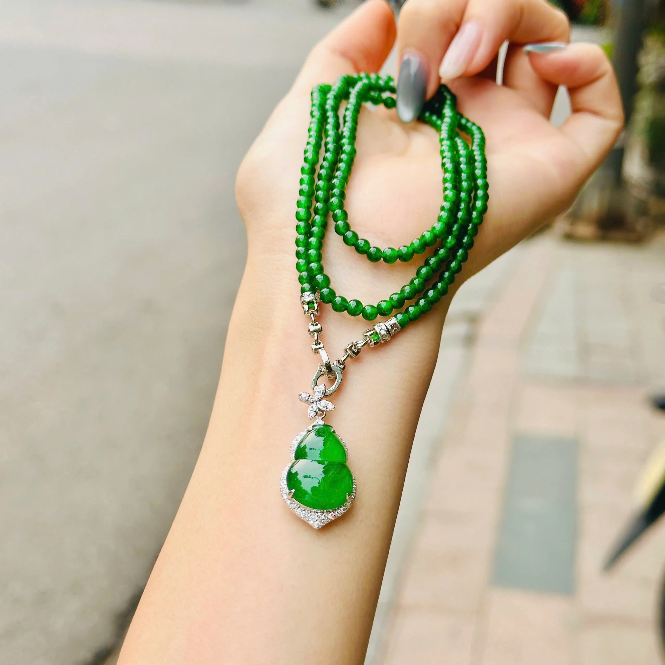 Dây phỉ thúy lục đế